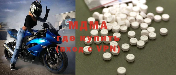 шишки Бородино