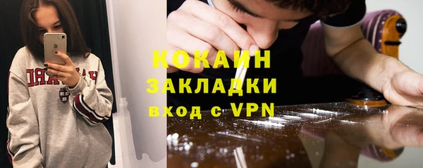 дживик Богородицк