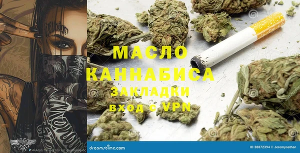 дживик Богородицк