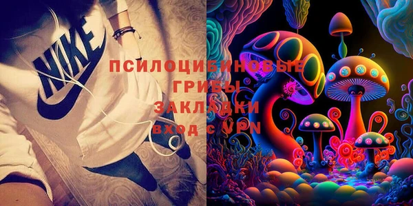 МДПВ Бронницы