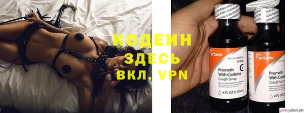 дживик Богородицк