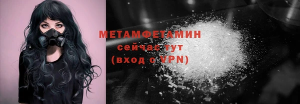 шишки Бородино