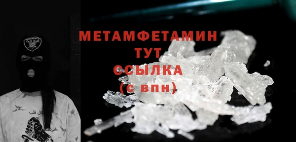 шишки Бородино