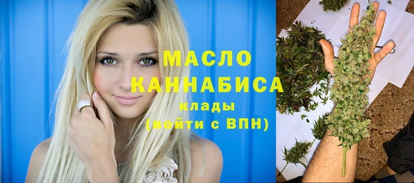 шишки Бородино