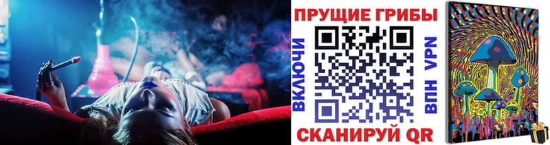 Галлюциногенные грибы мицелий  Невель 